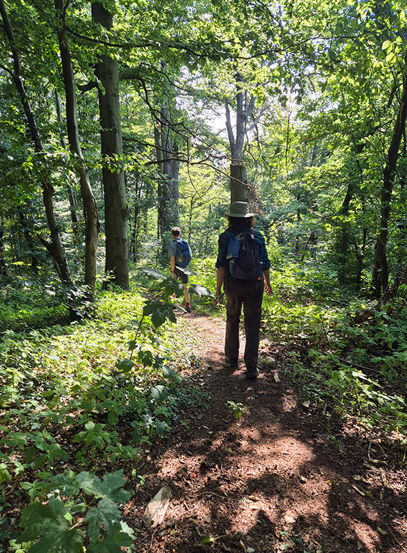 Wandern bei Hitze ist im Schatten des Waldes wesentlich angenehmer